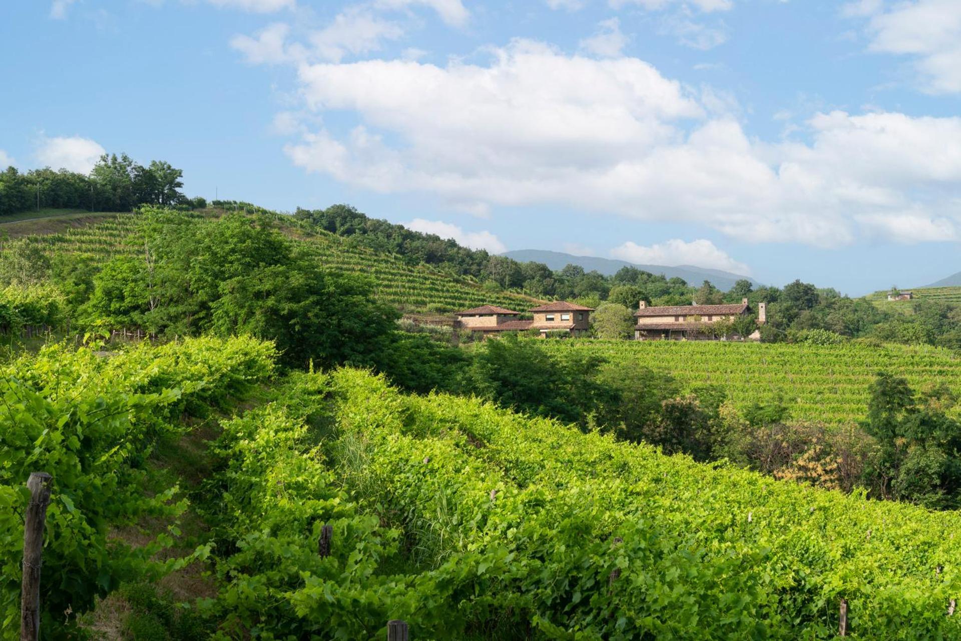 Willa Lis Fadis Wine Relais Cividale del Friuli Zewnętrze zdjęcie